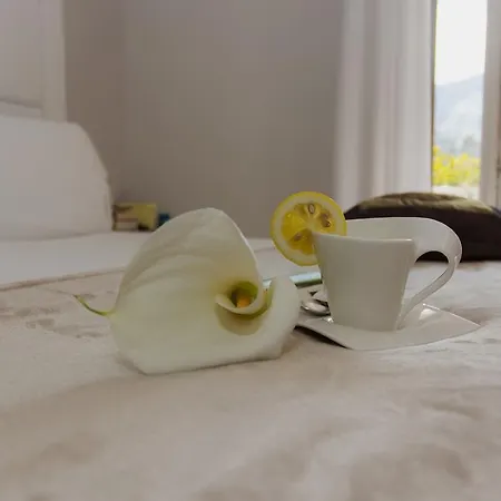 Pensionat Bougainvillea Relais